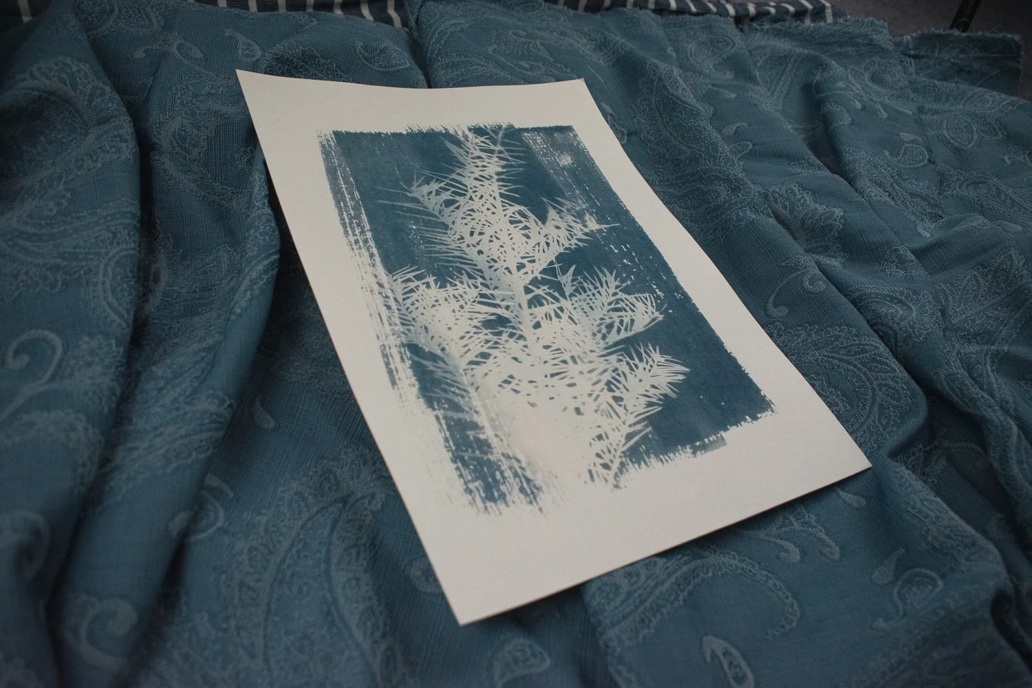 Jackie Partridge Light Pine Branch Cyanotype Art, 2021