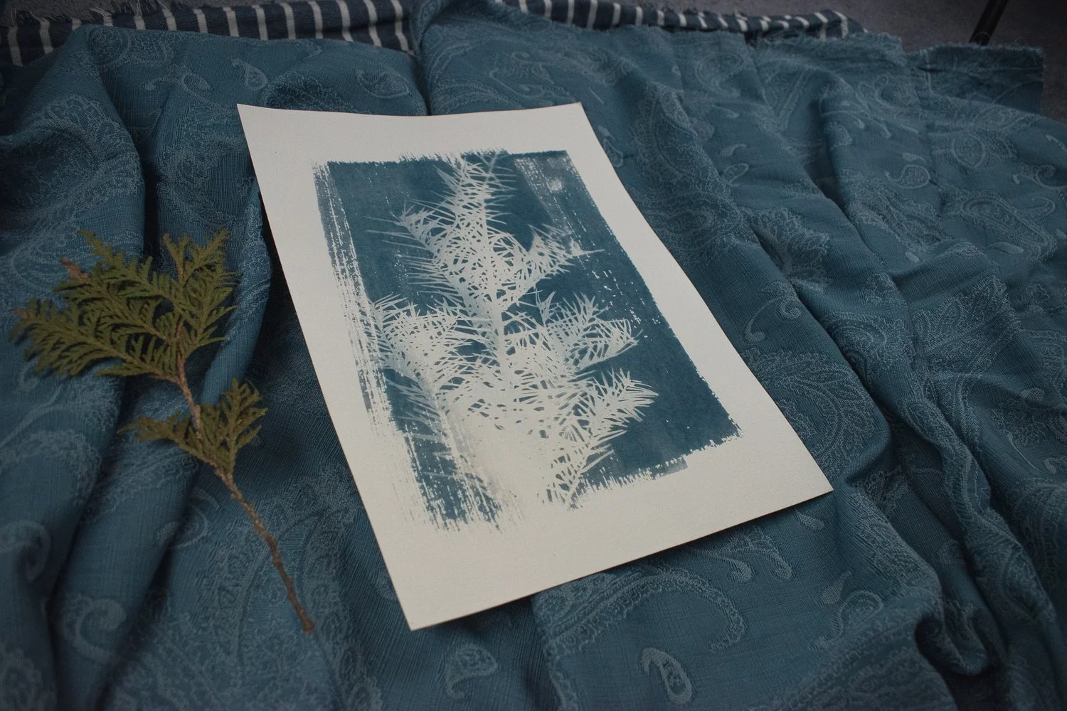Jackie Partridge Light Pine Branch Cyanotype Art, 2021