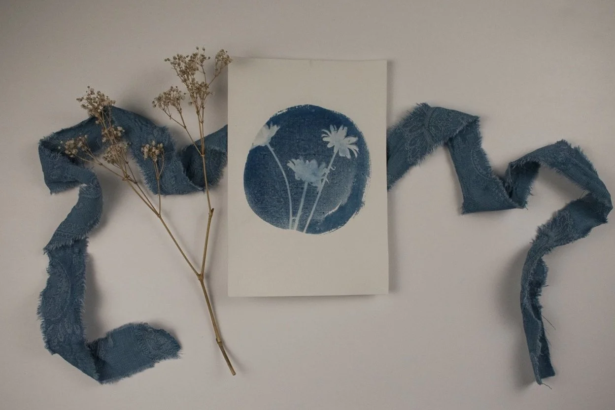 Jackie Partridge Daisies Cyanotype, 2021
