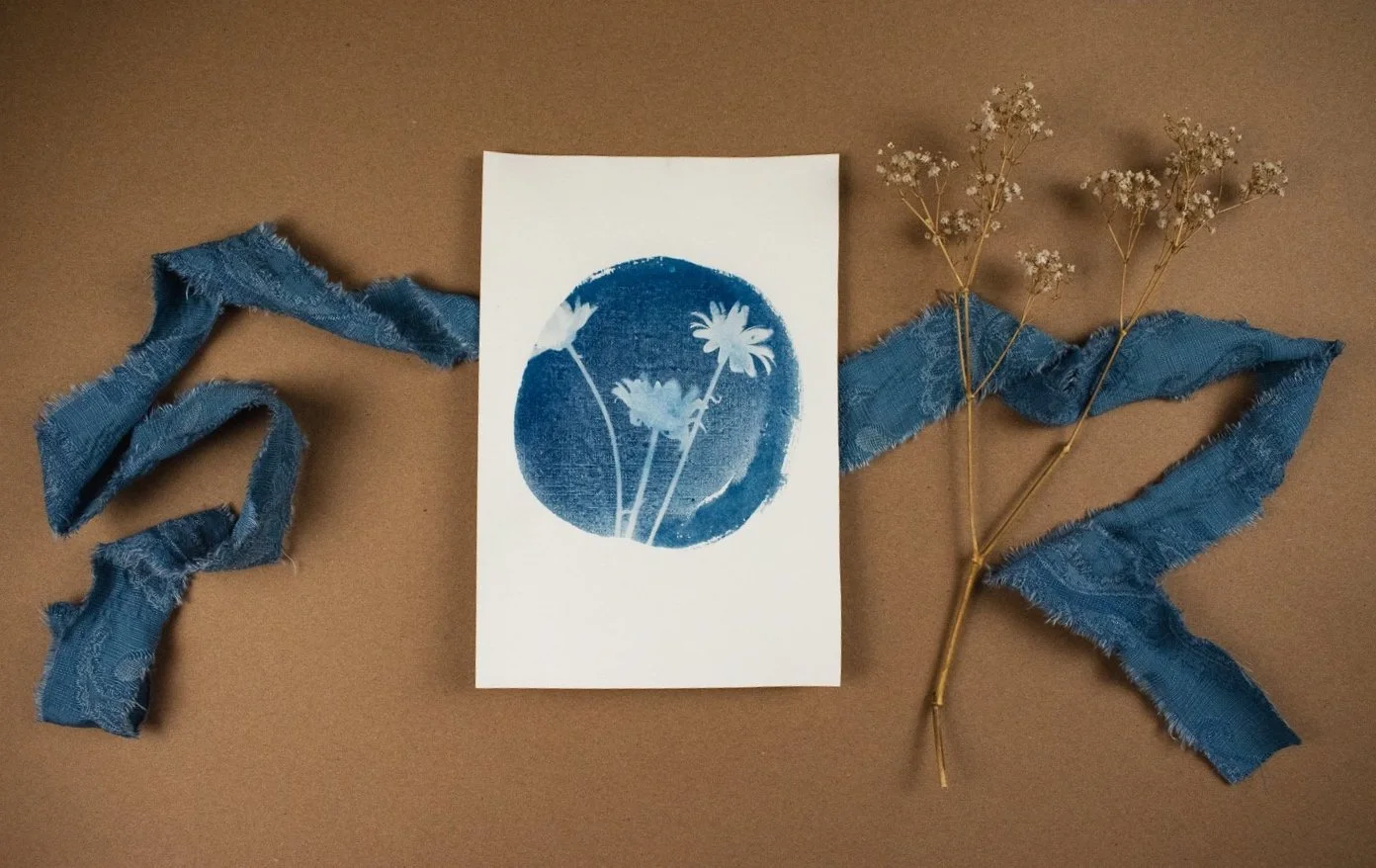 Jackie Partridge Daisies Cyanotype Artwork, 2021