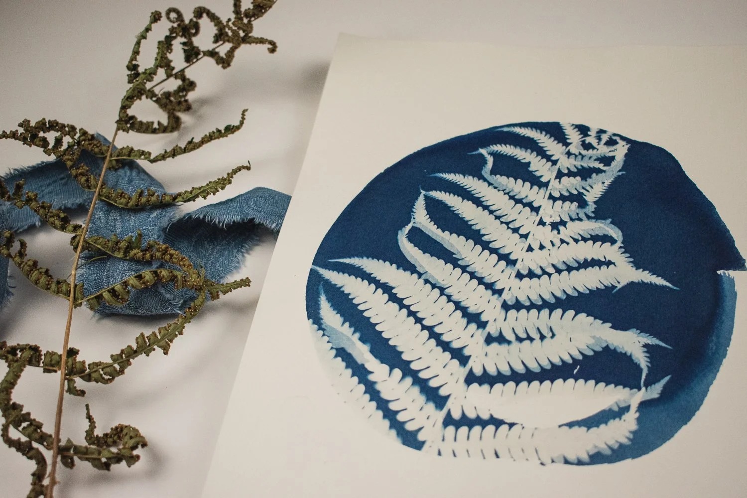 Jackie Partridge Round Fern Cyanotype, 2021