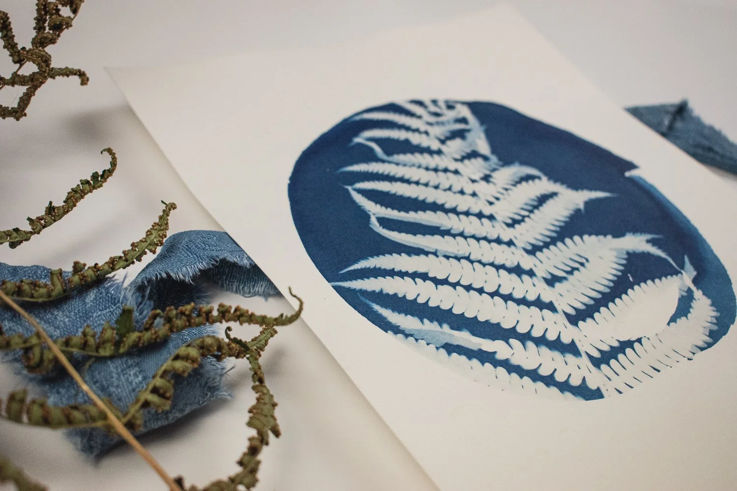 Jackie Partridge Round Fern Cyanotypes, 2021
