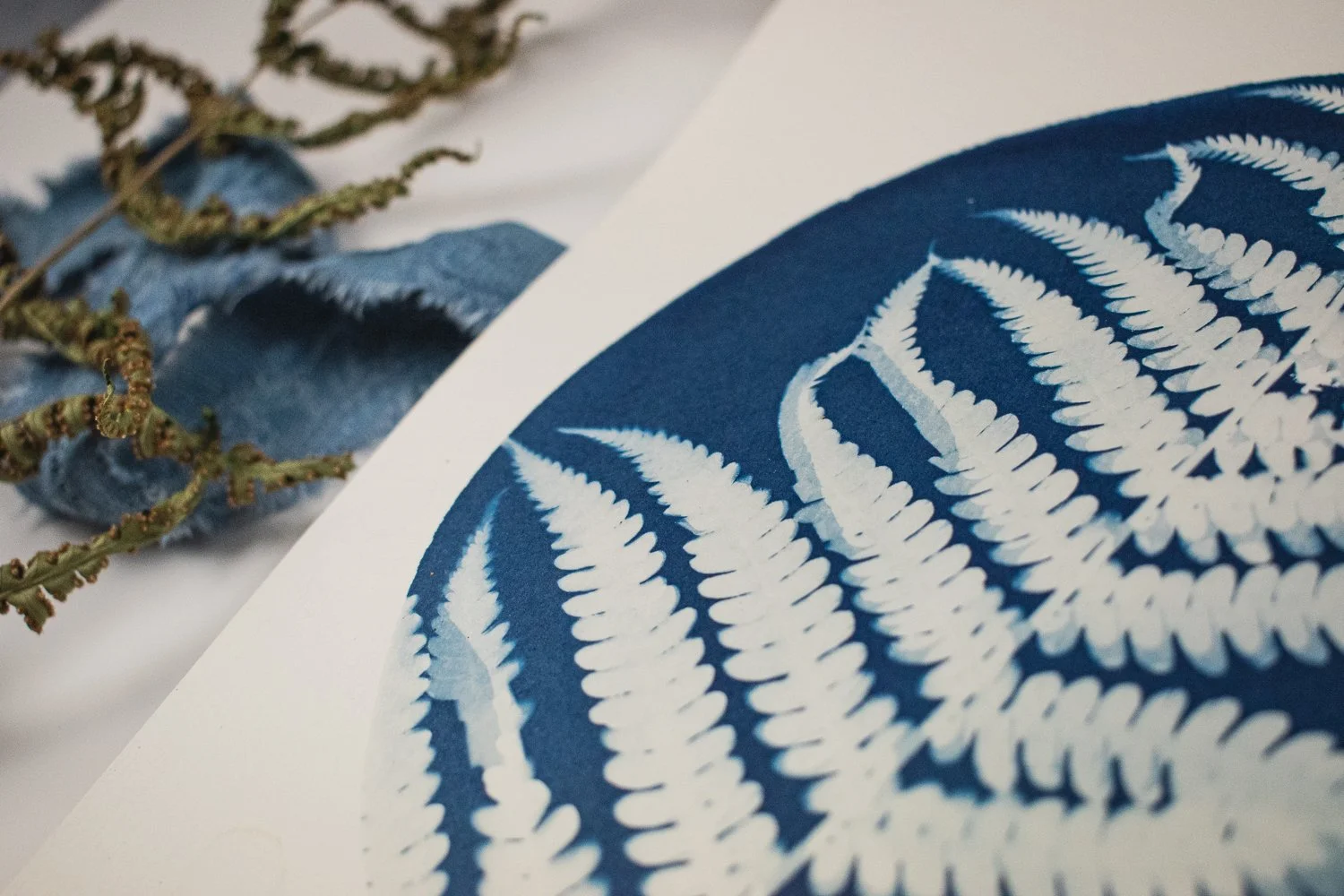 Jackie Partridge Round Fern Cyanotypes, 2021