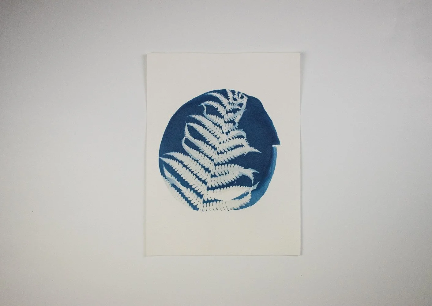 Jackie Partridge Round Fern Cyanotype, 2021