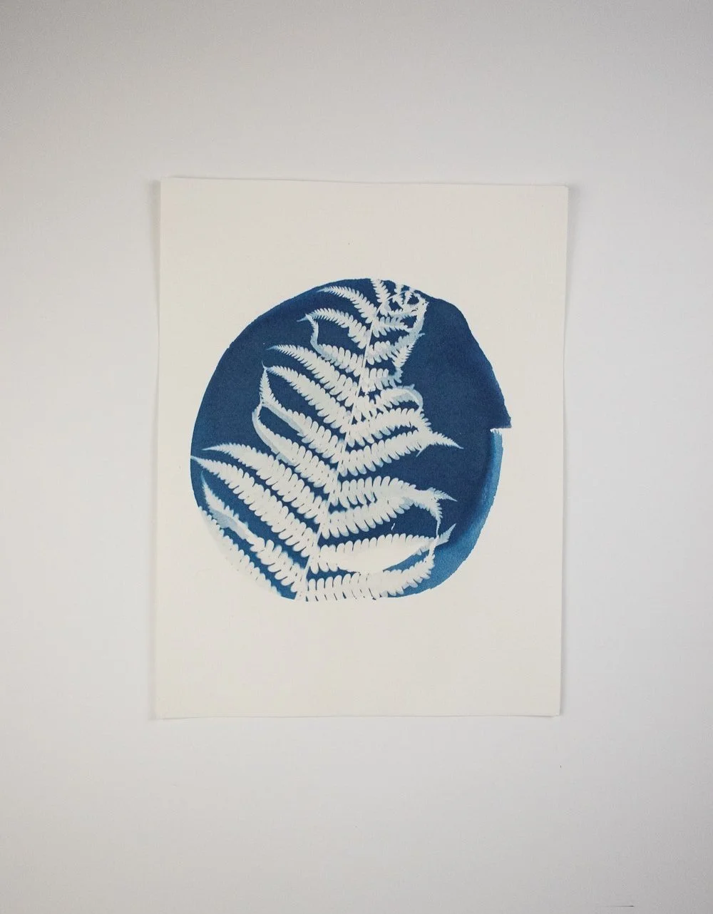 Jackie Partridge Round Blue Fern Cyanotype, 2021