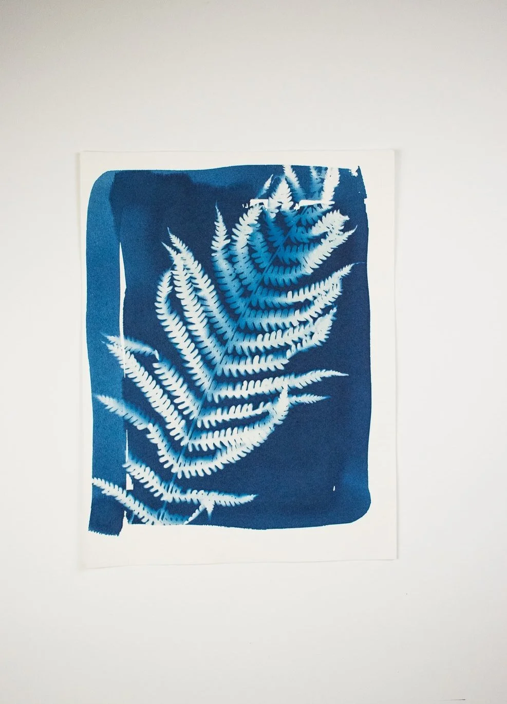 Jackie Partridge Blue Fern Cyanotype, 2021