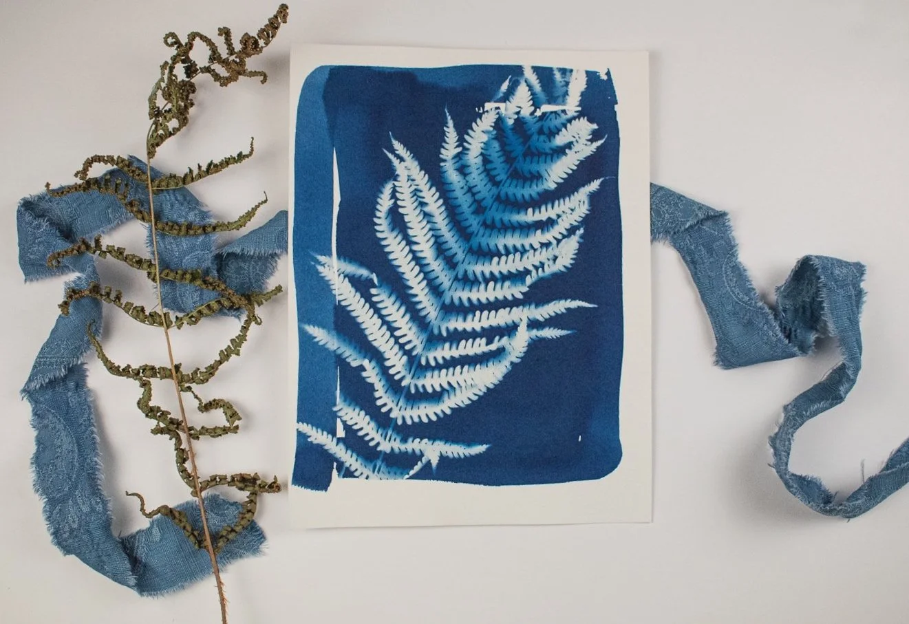 Jackie Partridge Blue Fern Cyanotypes, 2021