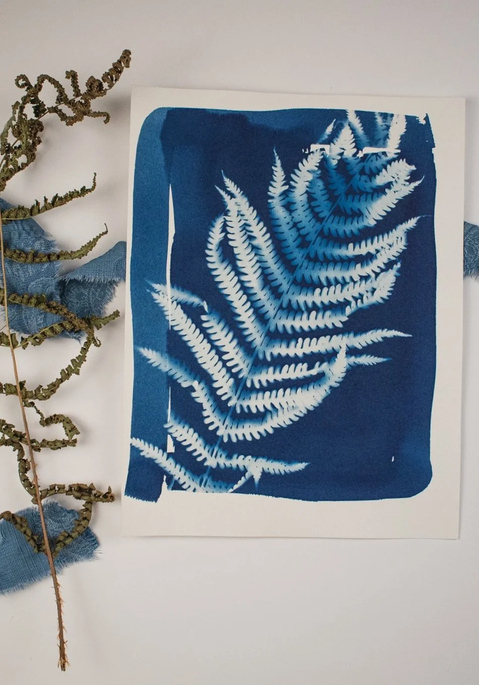 Jackie Partridge Blue Fern Cyanotypes, 2021