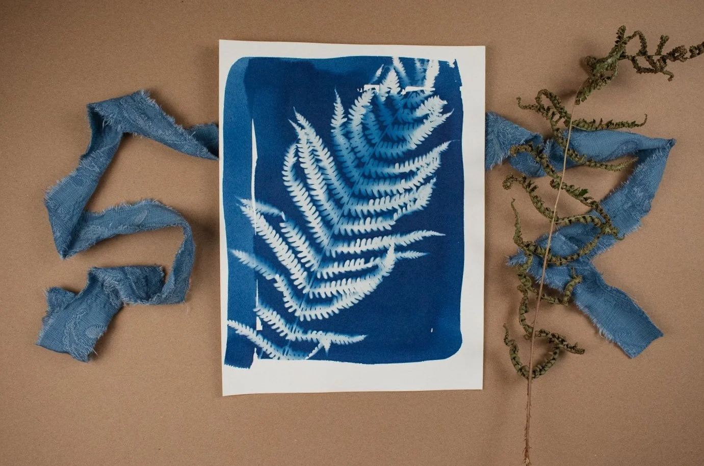 Jackie Partridge Blue Fern Cyanotype Artwork, 2021