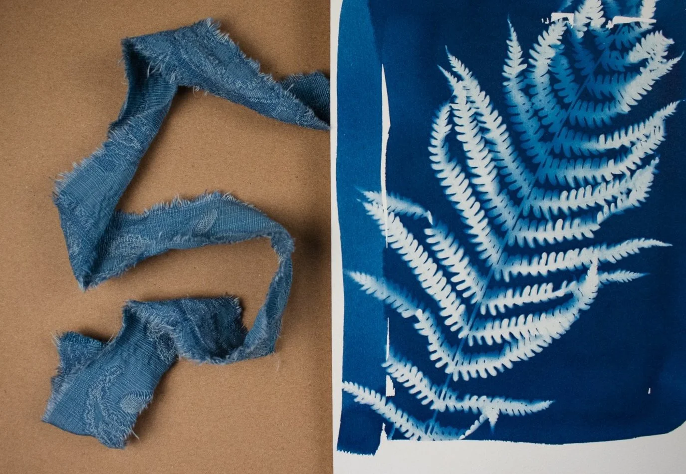 Jackie Partridge Blue Fern Cyanotype Artwork, 2021