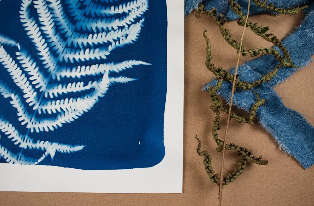 Jackie Partridge Blue Fern Cyanotype, 2021
