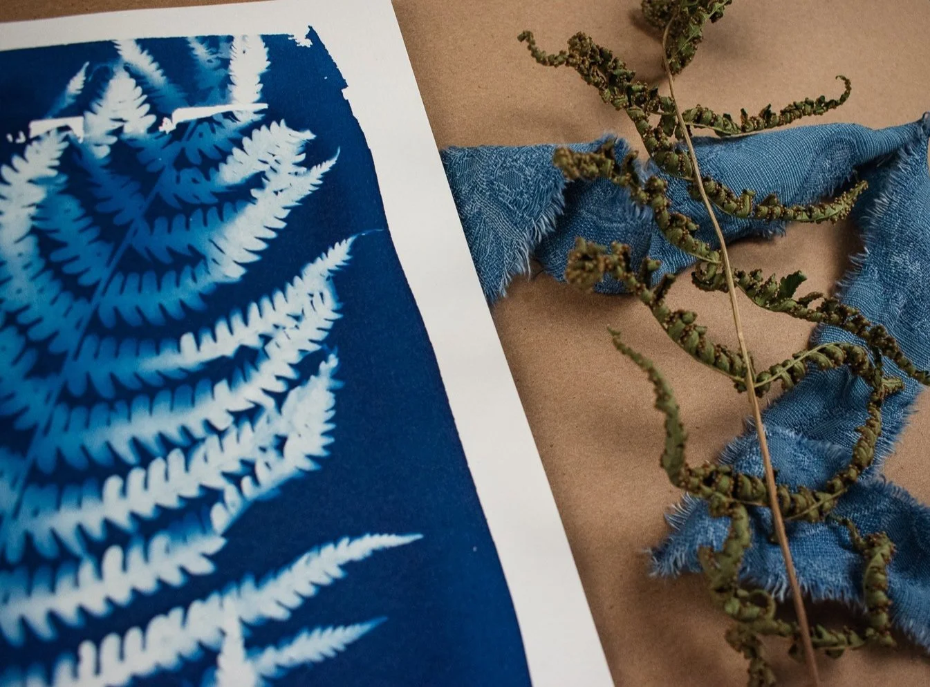 Jackie Partridge Blue Fern Cyanotype, 2021