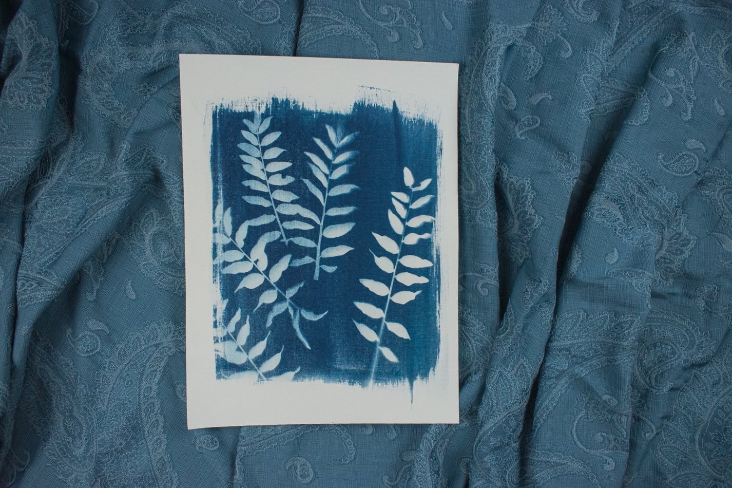 Jackie Partridge Mini Ferns Cyanotype, 2021