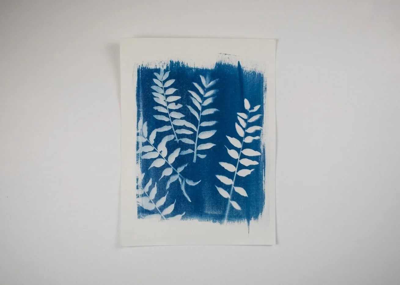 Jackie Partridge Mini Ferns Cyanotypes, 2021