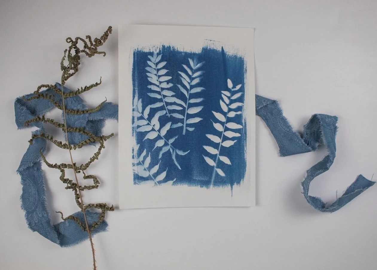 Jackie Partridge Mini Ferns Cyanotypes, 2021