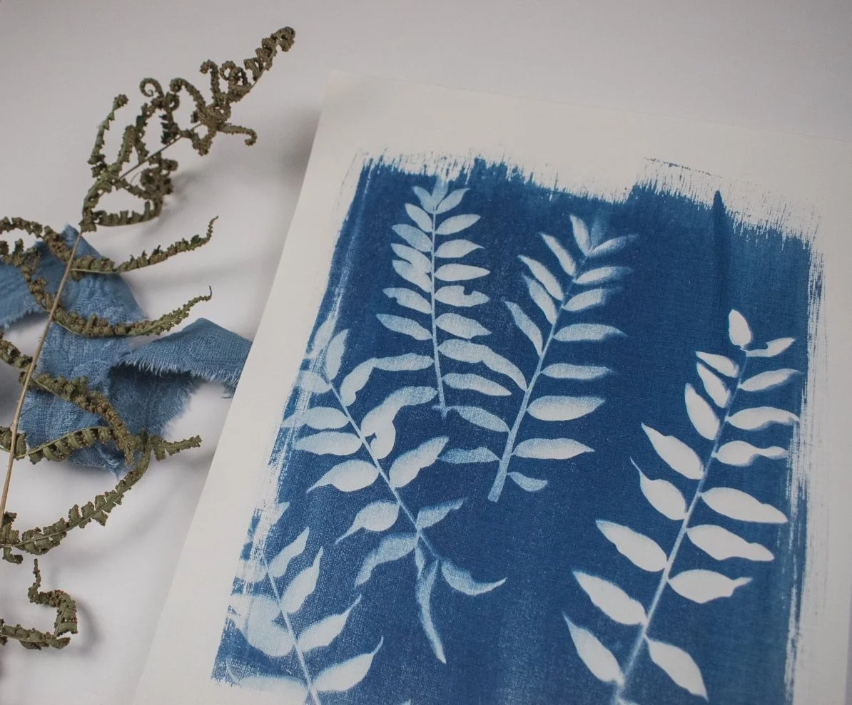Jackie Partridge Mini Ferns Cyanotypes, 2021