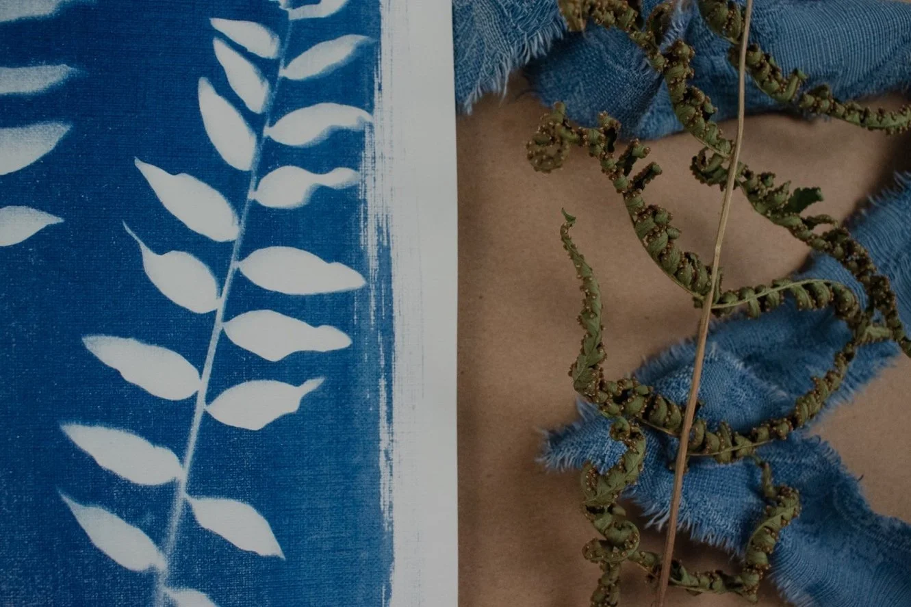 Jackie Partridge Mini Ferns Cyanotype Artwork, 2021
