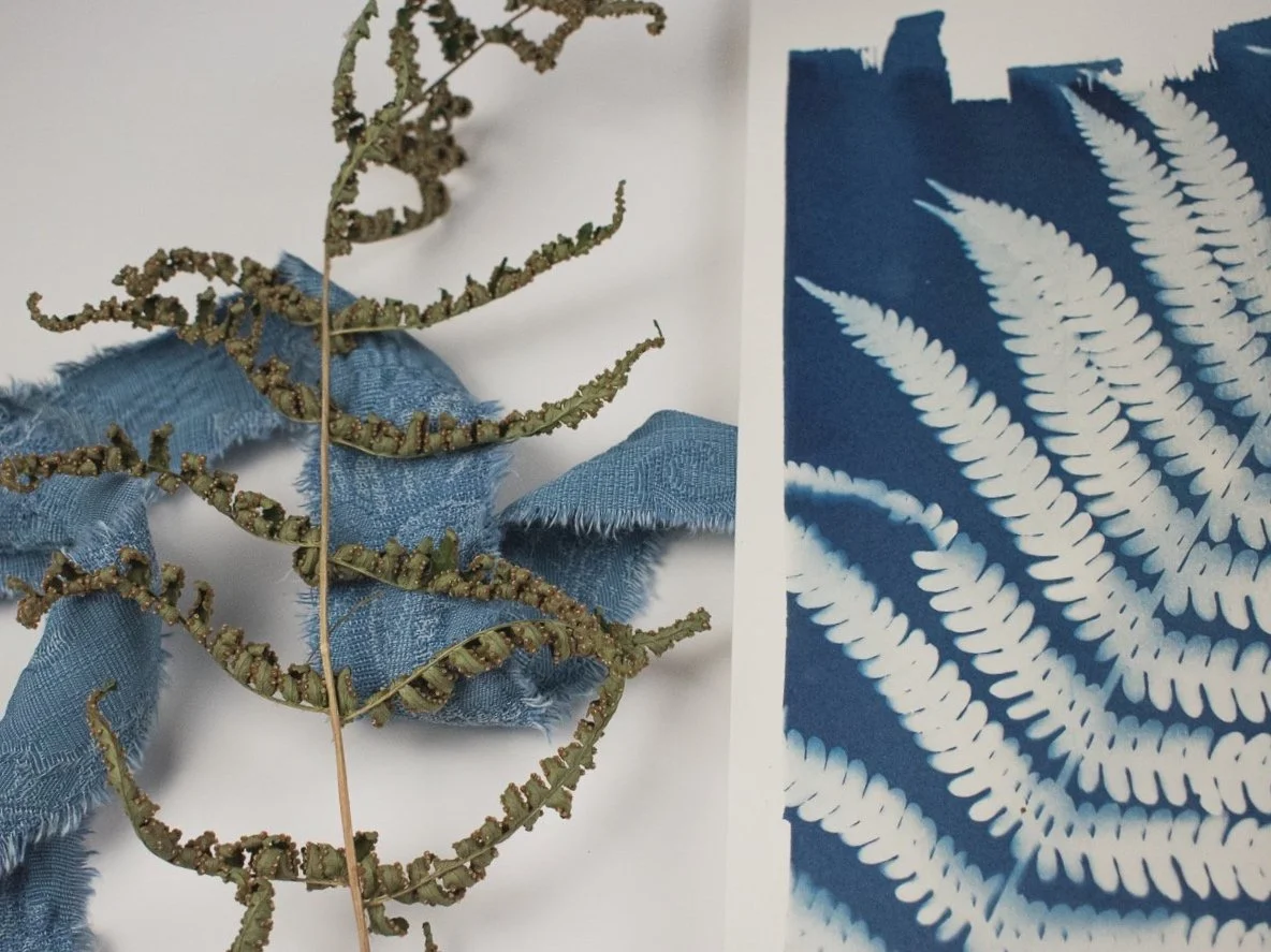 Jackie Partridge Big Blue Fern Cyanotype Art, 2021