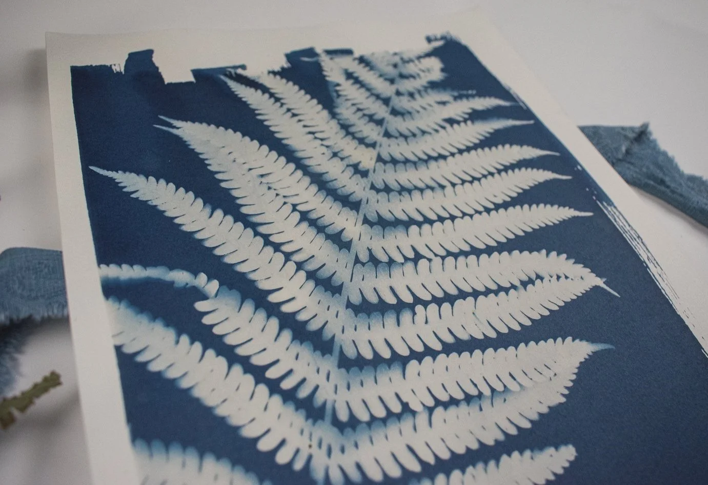 Jackie Partridge Big Blue Fern Cyanotype Art, 2021