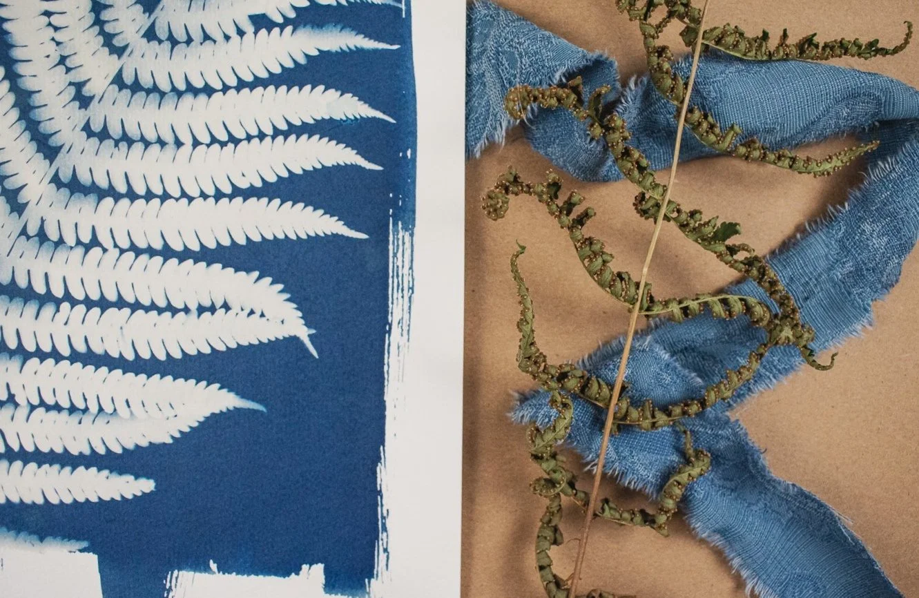 Jackie Partridge Big Blue Fern Cyanotypes, 2021