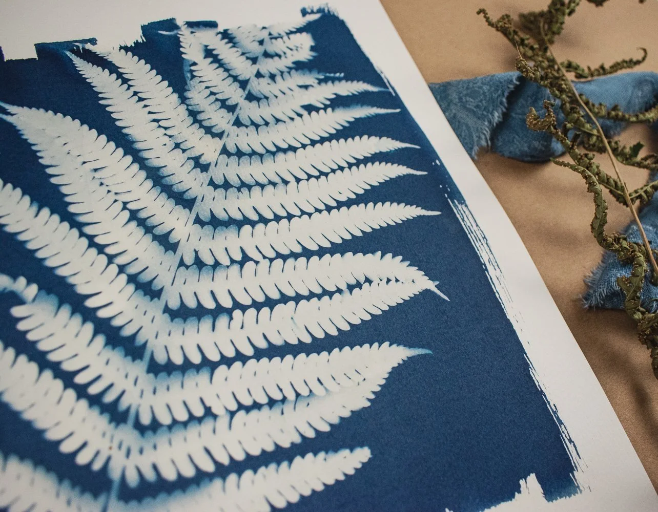 Jackie Partridge Big Blue Fern Cyanotypes, 2021