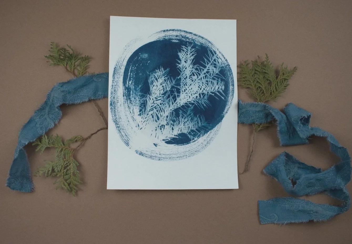 Jackie Partridge Pine Cyanotype, 2021