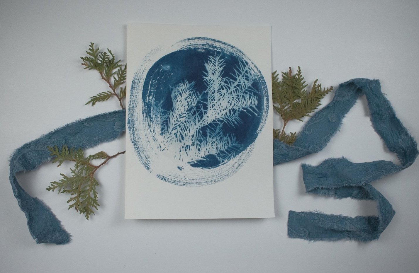 Jackie Partridge Round Pine Cyanotype, 2021