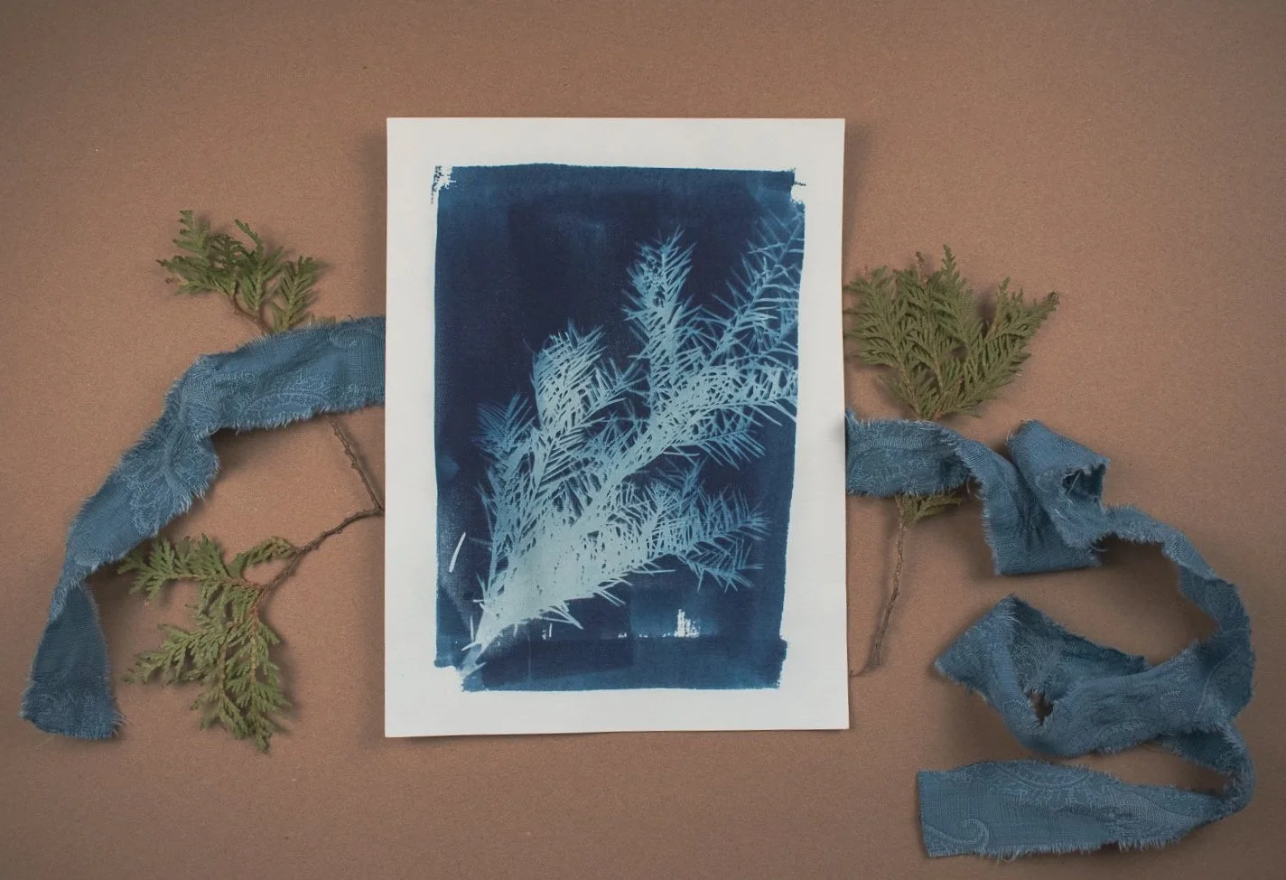 Jackie Partridge Blue Pine Branch Cyanotype, 2021