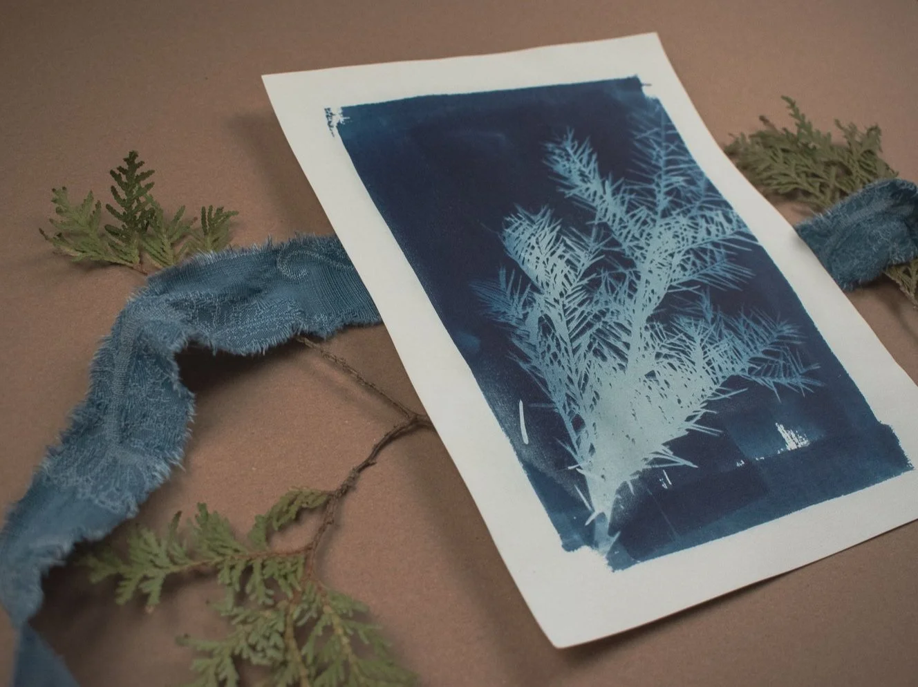 Jackie Partridge Blue Pine Branch Cyanotype, 2021