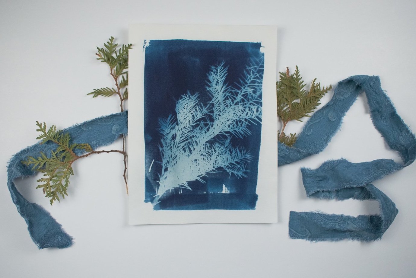 Jackie Partridge Blue Pine Branch Cyanotype, 2021