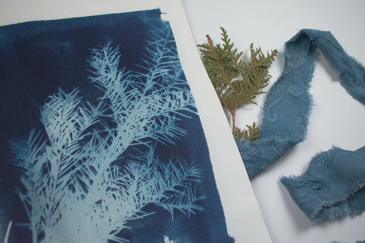 Jackie Partridge Blue Pine Branch Cyanotypes, 2021