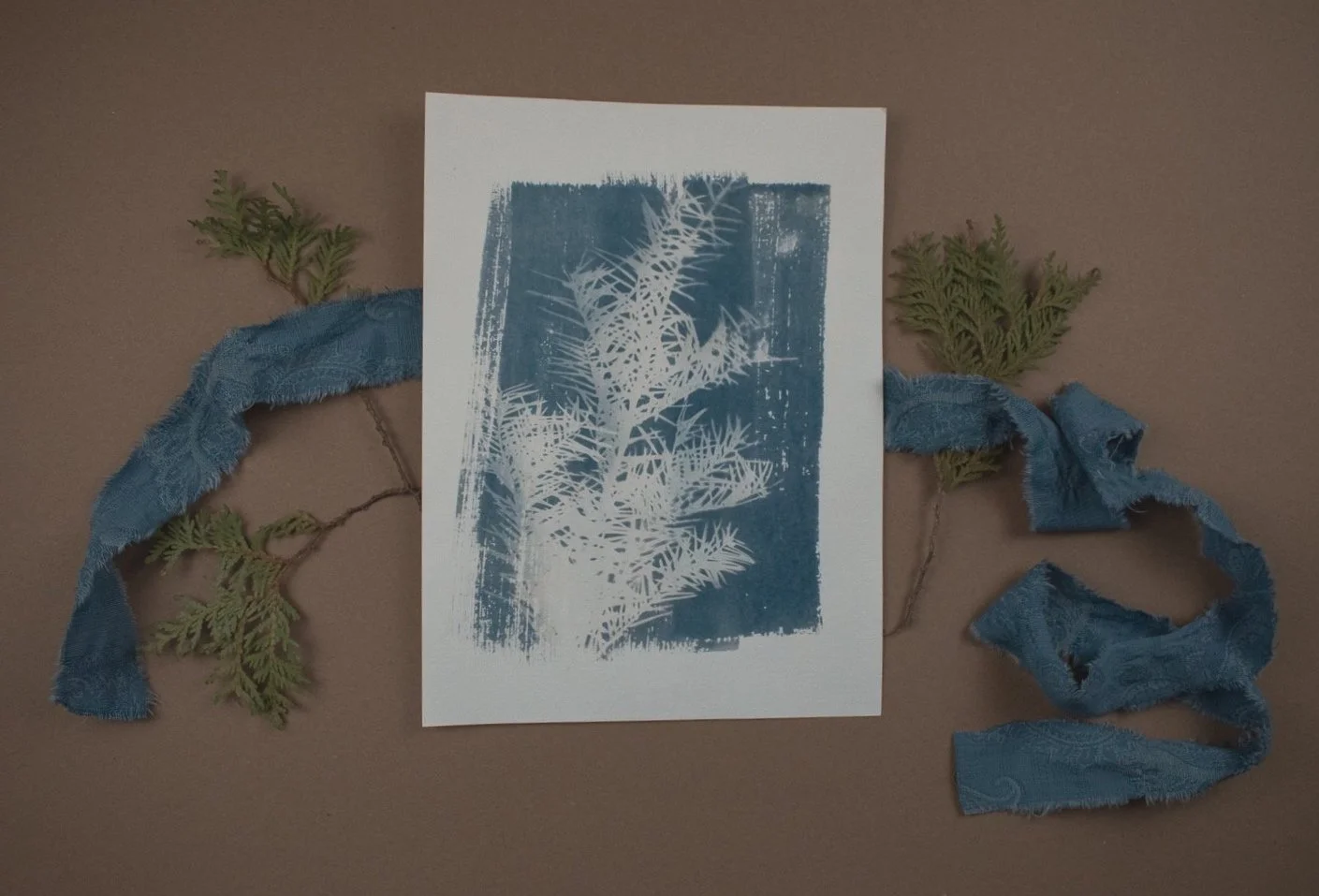 Jackie Partridge Light Pine Cyanotype, 2021