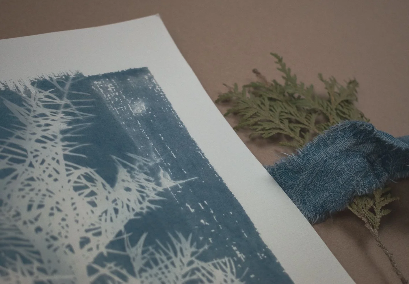 Jackie Partridge Light Pine Branch Cyanotype, 2021