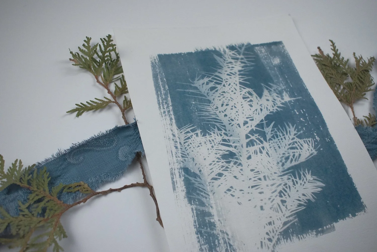 Jackie Partridge Light Pine Branch Cyanotype, 2021