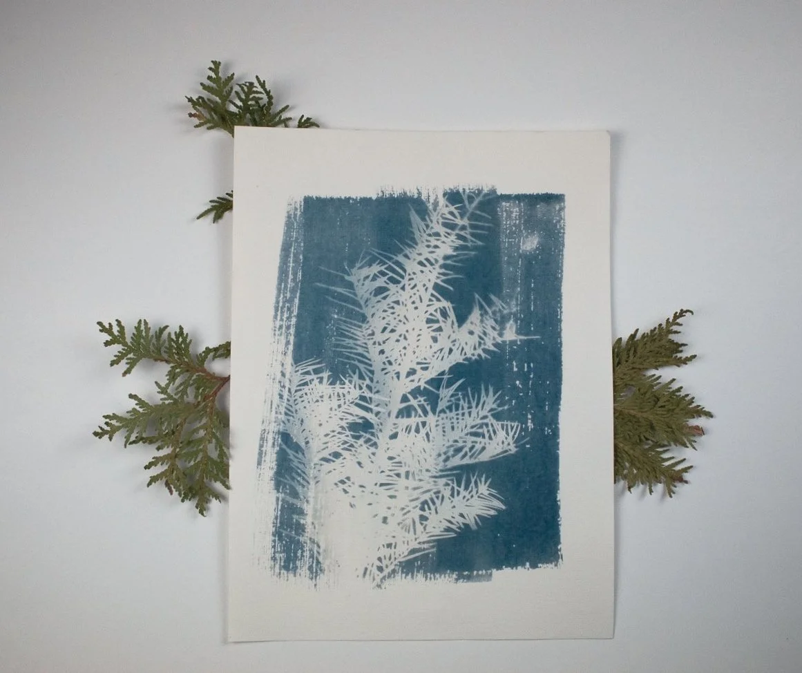 Jackie Partridge Light Pine Branch Cyanotype, 2021