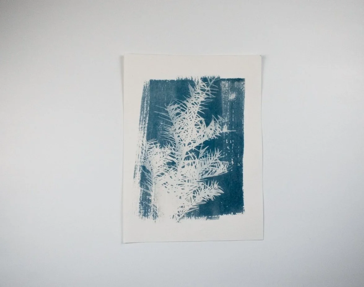 Jackie Partridge Light Pine Branch Cyanotype, 2021