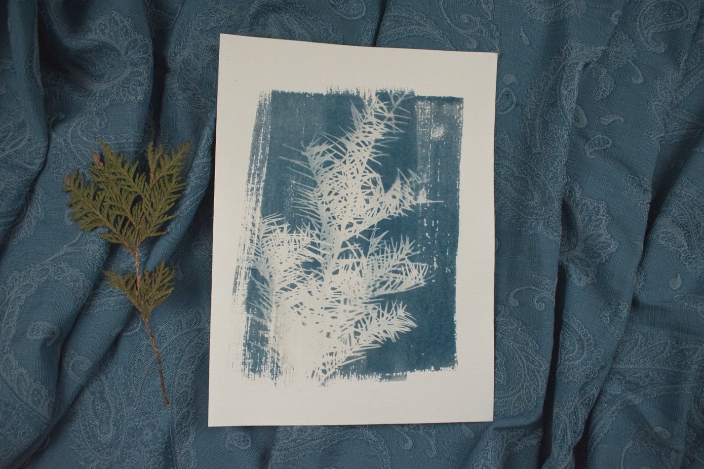 Jackie Partridge Light Pine Branch Cyanotype Art, 2021