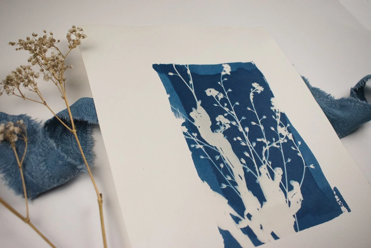 Jackie Partridge Forget me nots Cyanotype, 2021