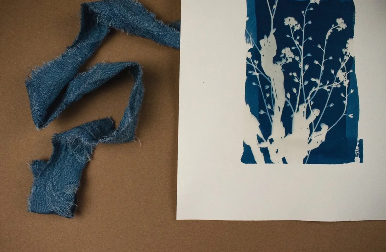 Jackie Partridge Forget me nots Cyanotypes, 2021