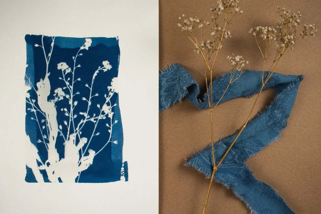 Jackie Partridge Forget me nots Cyanotypes, 2021