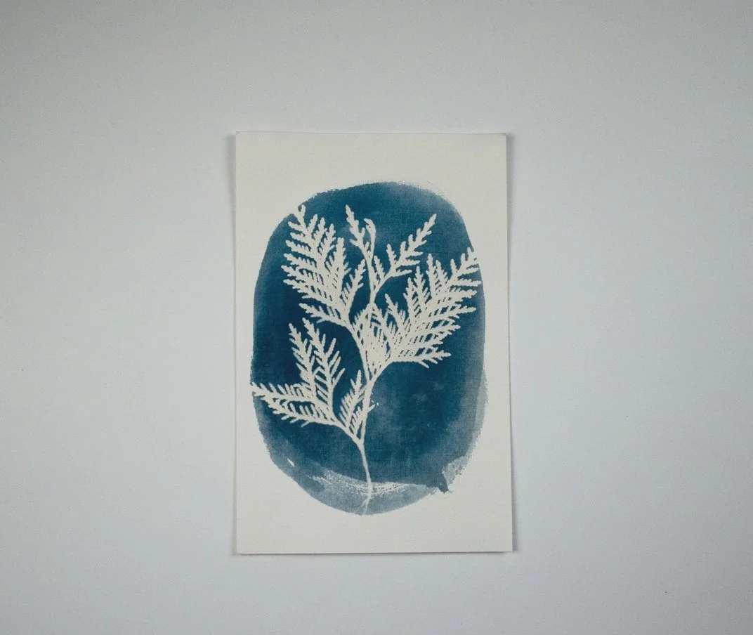 Jackie Partridge Cedar Cyanotype Art, 2021