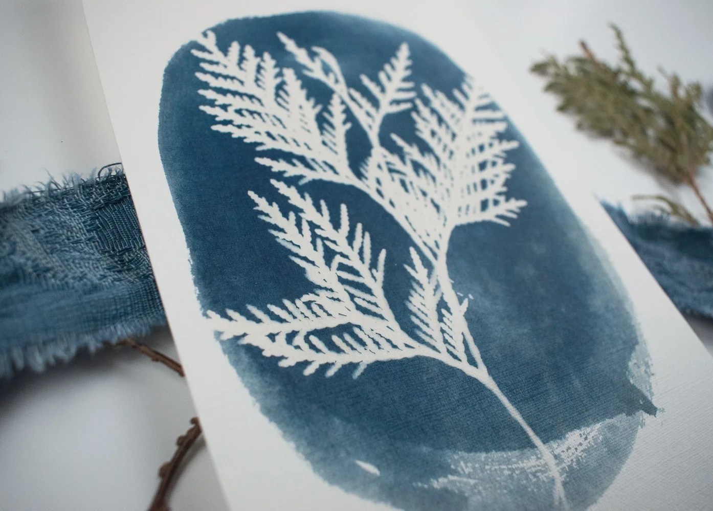Jackie Partridge Cedar Cyanotypes, 2021