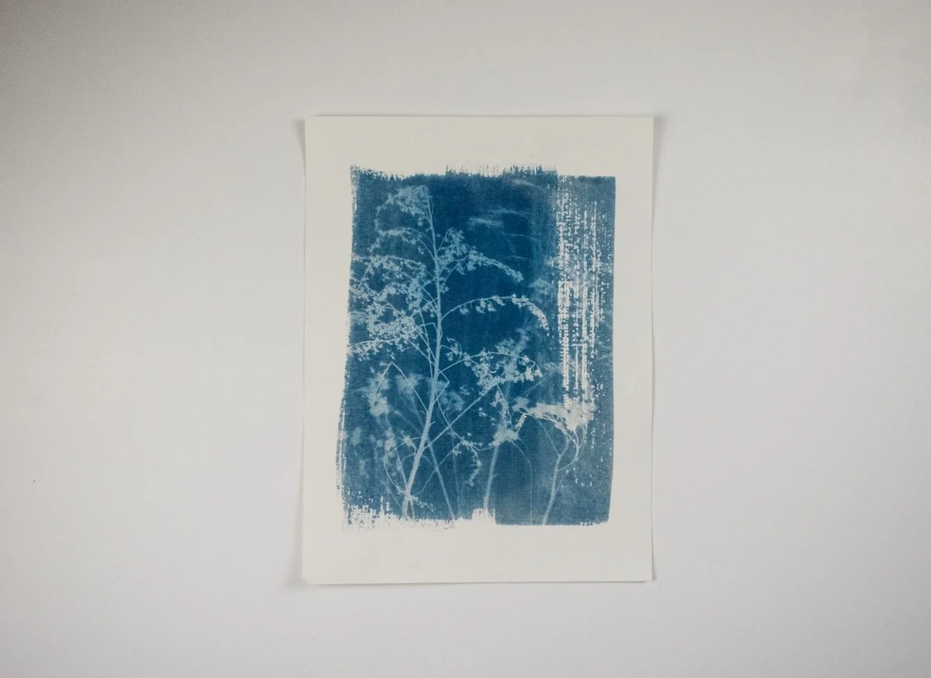 Jackie Partridge Large Wildflowers Cyanotype, 2021