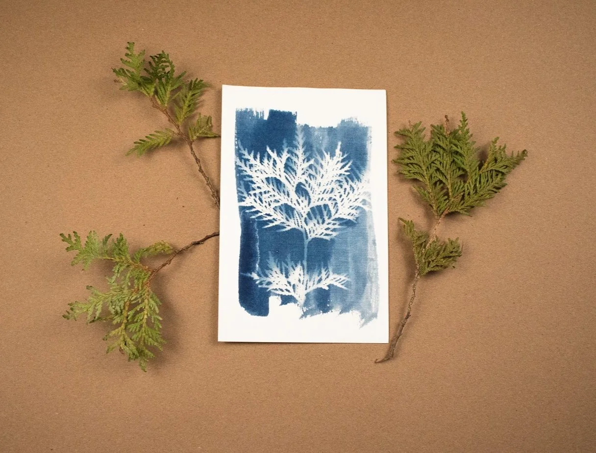 Jackie Partridge Cedar Rectangle Cyanotype Art, 2021