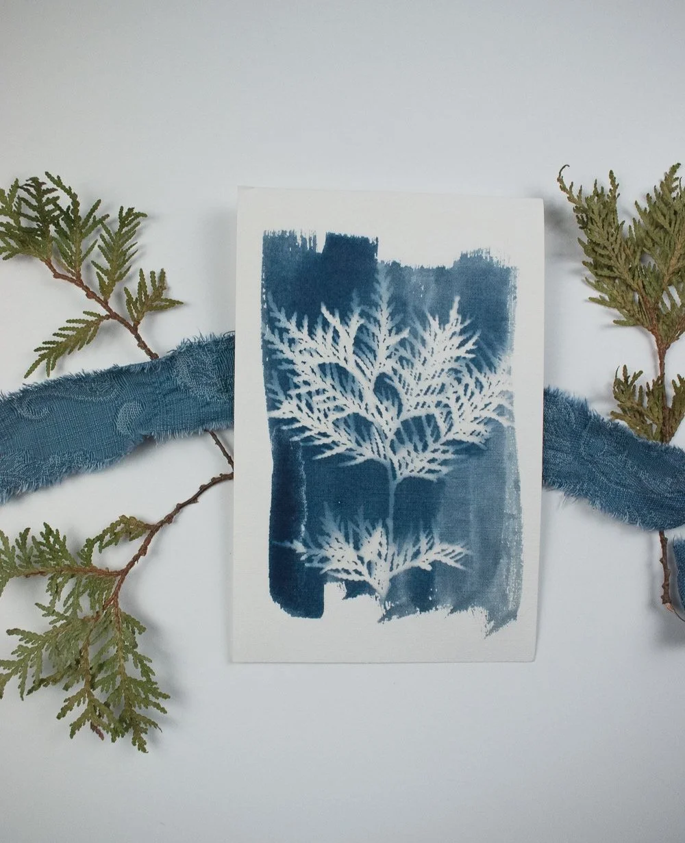 Jackie Partridge Cedar Cyanotype Artwork, 2021