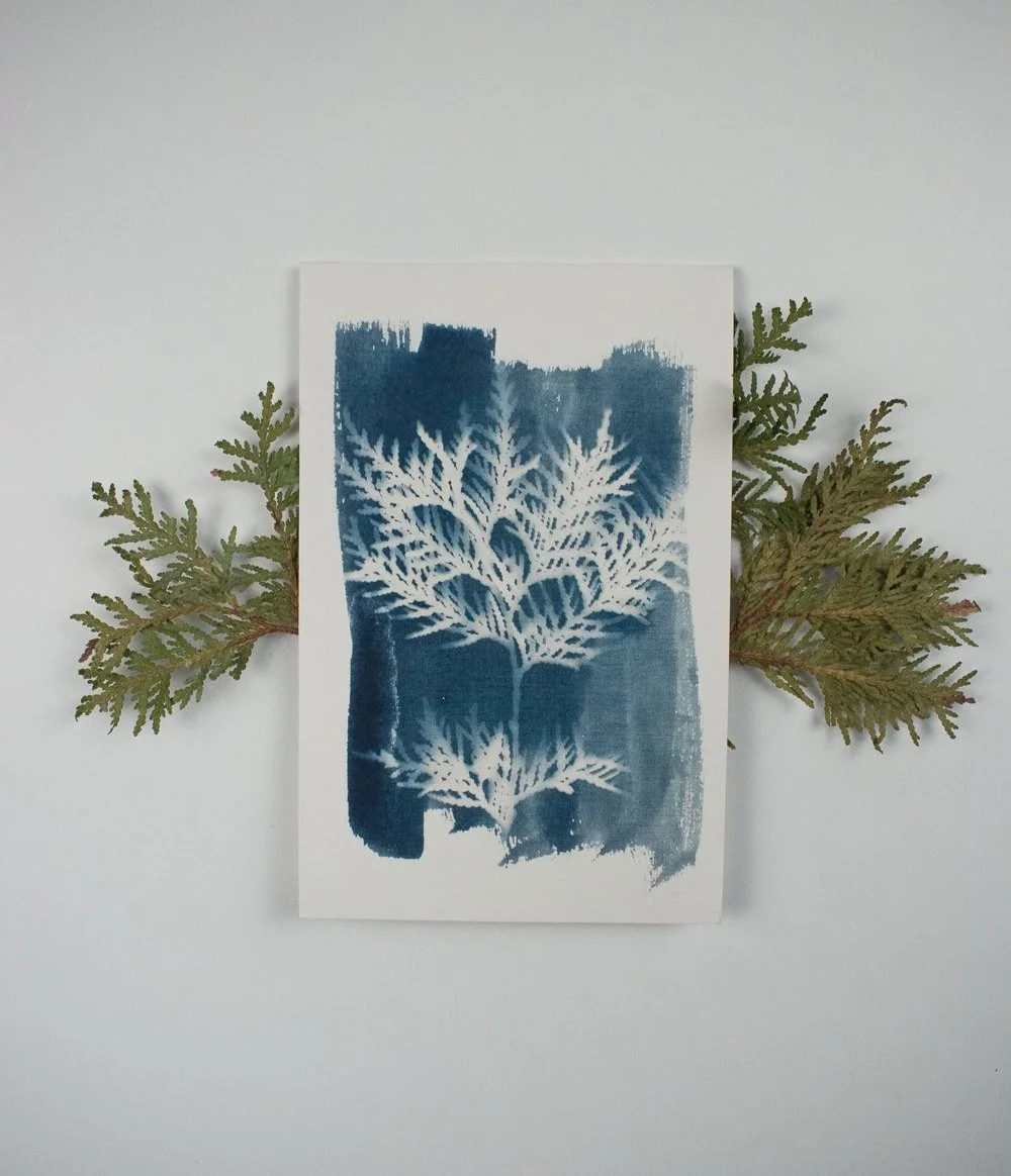 Jackie Partridge  Blue Cedar Cyanotype Artwork, 2021