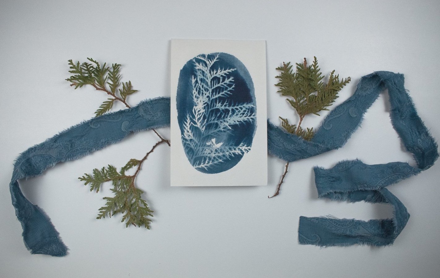 Jackie Partridge  Small Blue Cedar Cyanotype, 2021