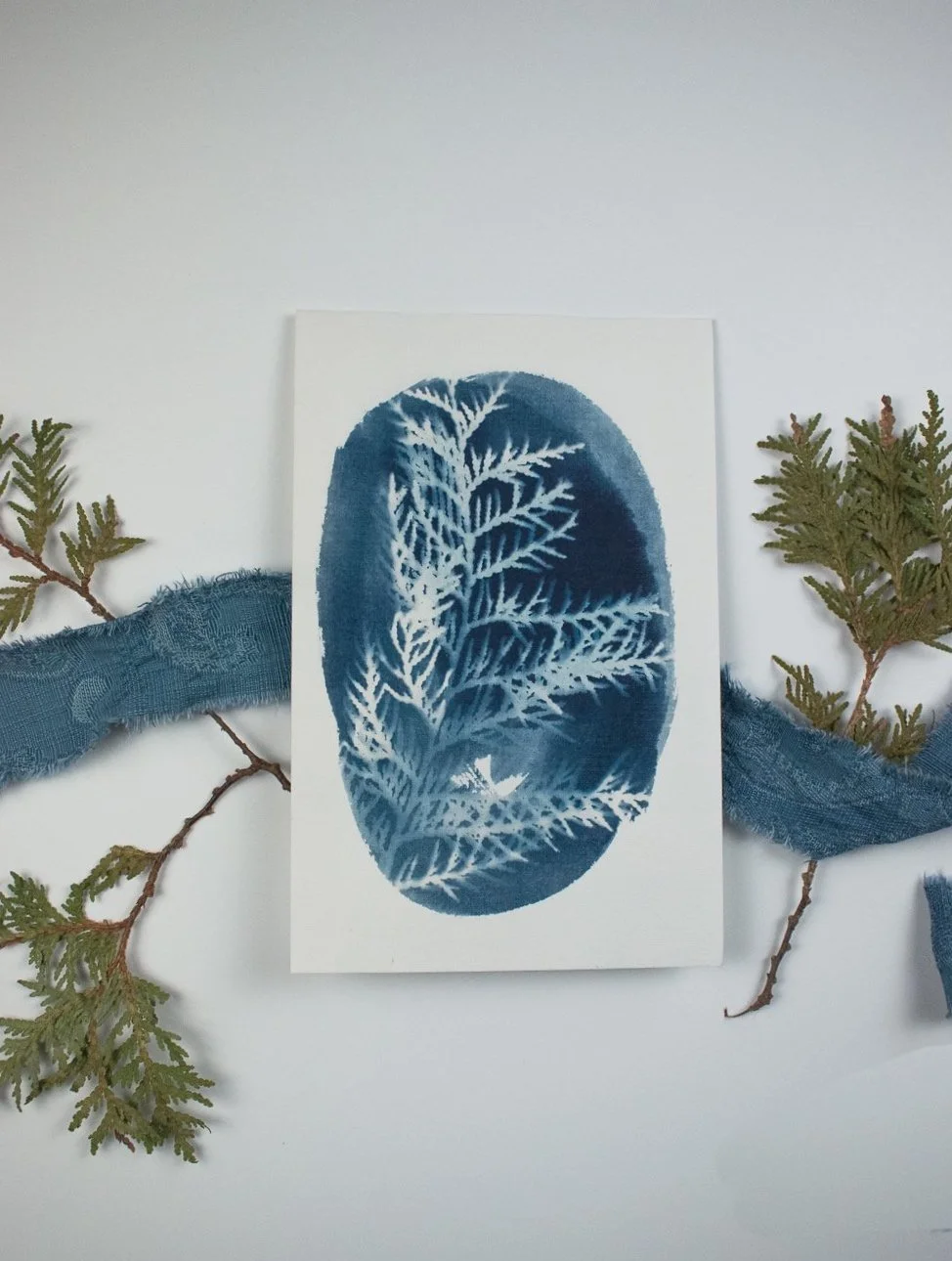 Jackie Partridge  Small Blue Cedar Cyanotype, 2021
