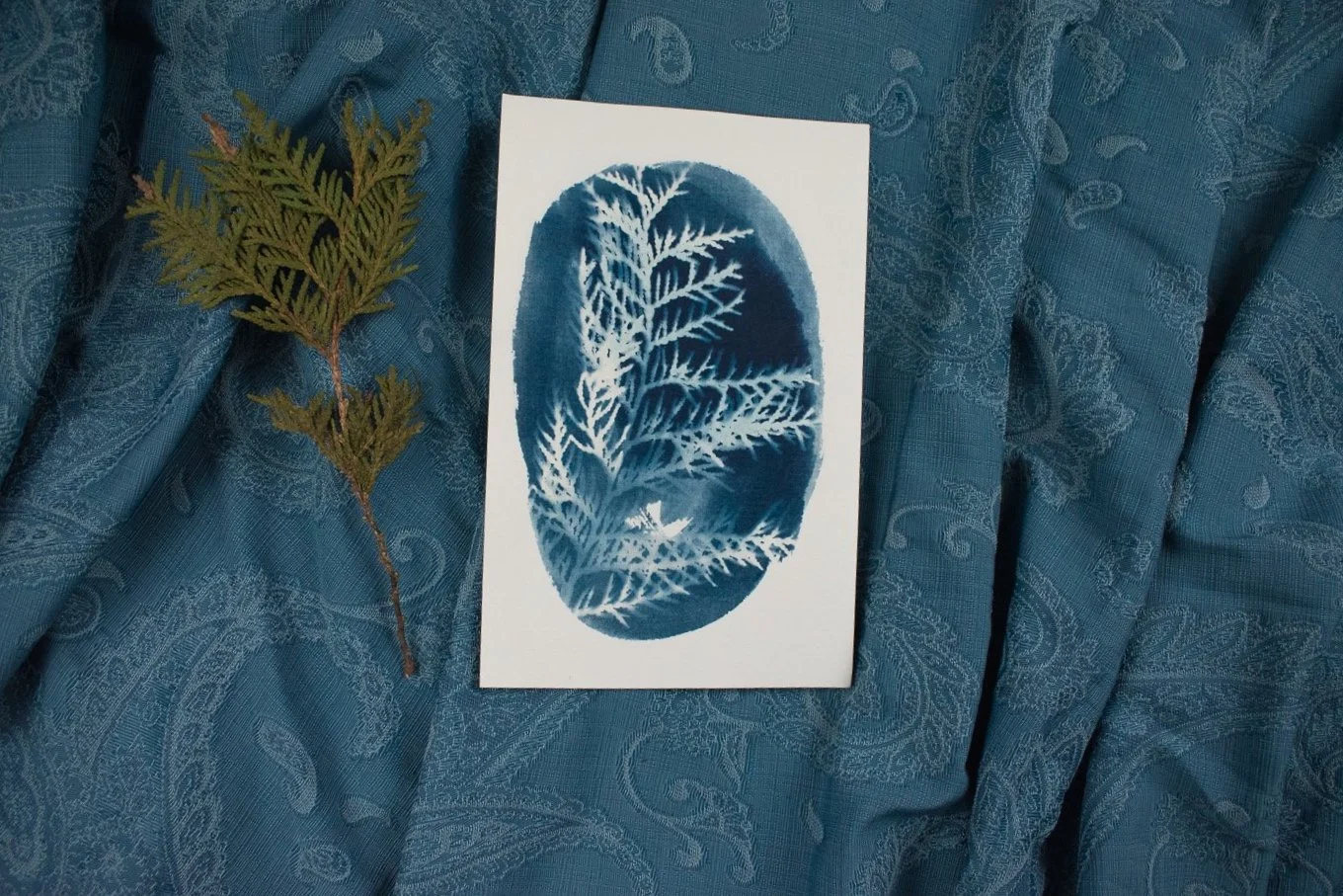 Jackie Partridge  Small Blue Oval Cedar Cyanotype, 2021