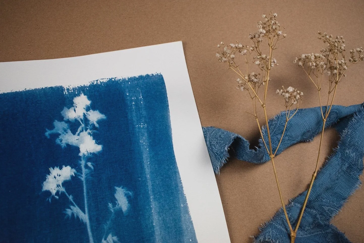 Wildflowers Cyanotype Art by Jackie Partridge, 2021